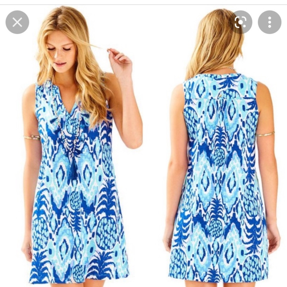 HP ✨Lilly Pulitzer Dev Dress. Size S
